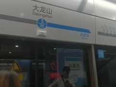 -大龙山(地铁站)