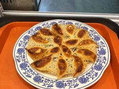 -石老头关东饺子王·东北菜(嘉华鑫城店)