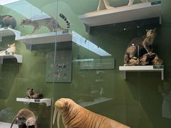 -国家自然博物馆