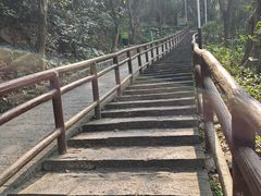 -水濂山森林公园