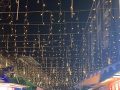 -南湖公园地摊集市