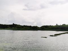 -溱湖国家湿地公园