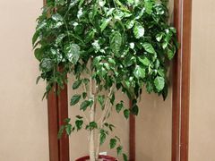 -金时代顺风大酒店(金山店)