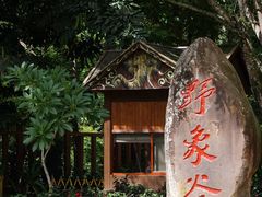 -野象谷景区