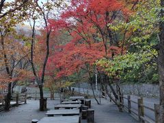 -天女山森林公园