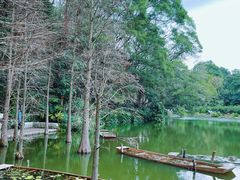 -深圳仙湖植物园