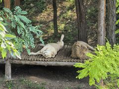 -石家庄市动物园