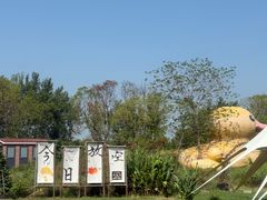 -动邦皮划艇·桨板·独木舟·团建户外运动俱乐部