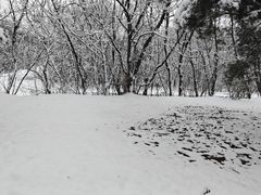 -秦始皇帝陵博物院-丽山园