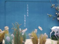 -奈雪的茶(大悦城店)