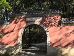 -灵谷景区