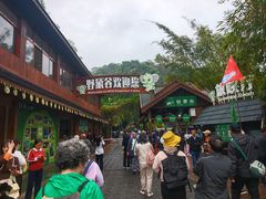 -野象谷景区