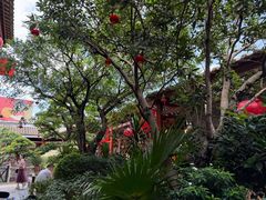 -猪肉婆私房菜(容桂总店)