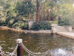 -Waterfall瀑布湾优健源(华侨城店)
