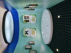 -上海昆虫博物馆