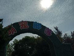 -大连圣亚海洋世界