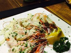 -百好乐宠物友好餐厅(朝外大街店)