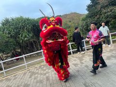 -杨梅坑