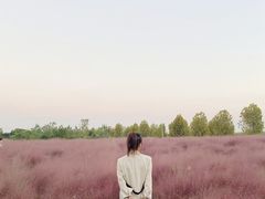-映月湖中央公园