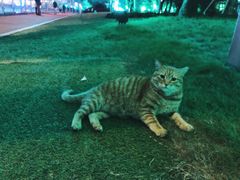 -北外滩滨江绿地