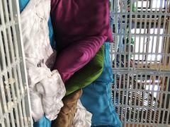 -弘安丽水温泉酒店