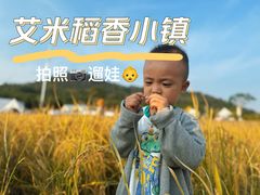 -艾米稻香小镇