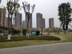 -府河摄影公园