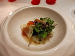 -蝶舍·MAISON PAPILLON