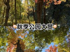 -长春市南湖公园