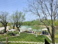 -Supine Bistro溯泮餐厅