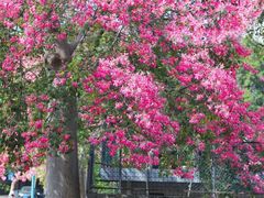 -华南师范大学(广州大学城校区)