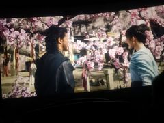 -深影国际影城(学院南路店CGS中国巨幕店)