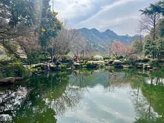 -中国茶叶博物馆(双峰馆区)