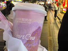 -一只酸奶牛(八一路店)