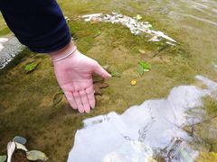 -华蓥山天意谷景区