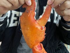 -强记龙虾钳(定安里店)