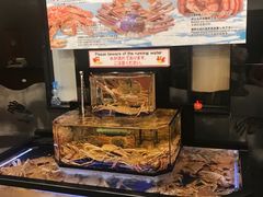 -蟹道乐(道顿堀本店)