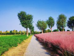 -汉长安城未央宫国家考古遗址公园