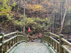 -茅兰沟国家森林公园