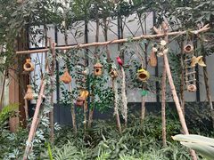 -南宫五洲植物乐园