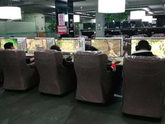 -网鱼网咖(金山卫零店)