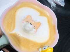 -逗柴咖啡屋·狗咖猫咖宠物桌游