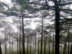 -安徽天堂寨风景区