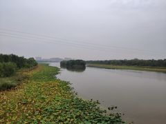 -大槐树寻根祭祖园