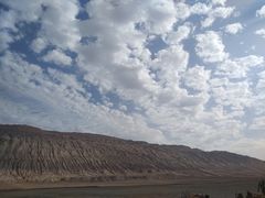 -正飞鲜奶(南湖一期店)