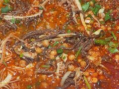 -张翻越·川渝冒菜·武汉黑鸭煲(城北万象城店)