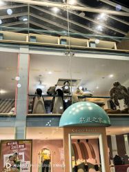 -奈尔宝·儿童乐园·亲子餐厅(星河湾店)