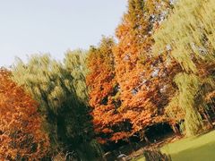 -石家庄市动物园