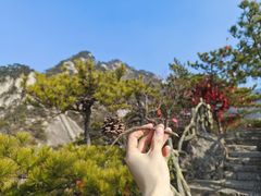 -罗田天堂寨风景区