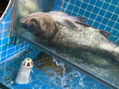 -佤家大院(南门店)